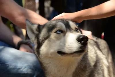 DSC_1671 (Large).JPG